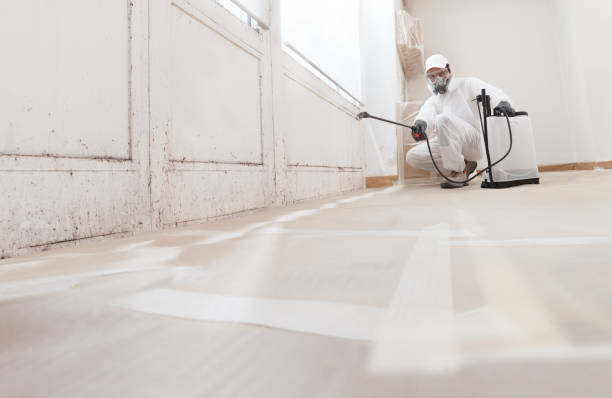 24/7 Emergency Black Mold Remediation experts in Highspire, PA